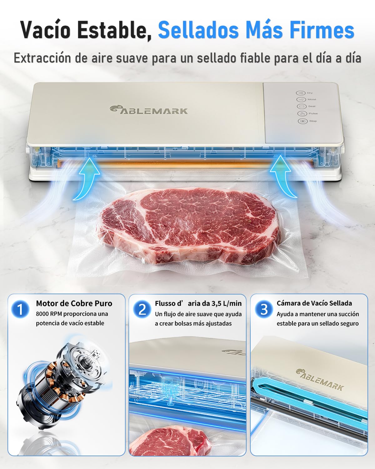 Envasadora al Vacío Doméstica, Seco y Húmedo, Línea de Sellado de 3 mm | Selladora al Vacío 30 cm, Pulse para Alimentos Delicados, Tubo para Recipientes Compatibles, 10 Bolsas Gofradas, Oro Rosa