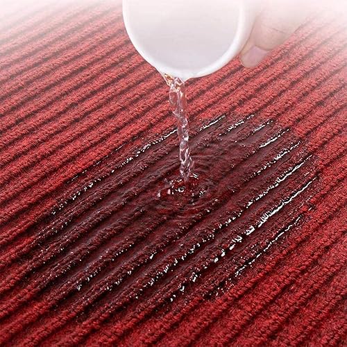 Miniatura 3 de Tapete de grado comercial para puerta de 3 x 10 pies, resistente, resistente, colección de entrada, antideslizante, con respaldo de goma y alfombra