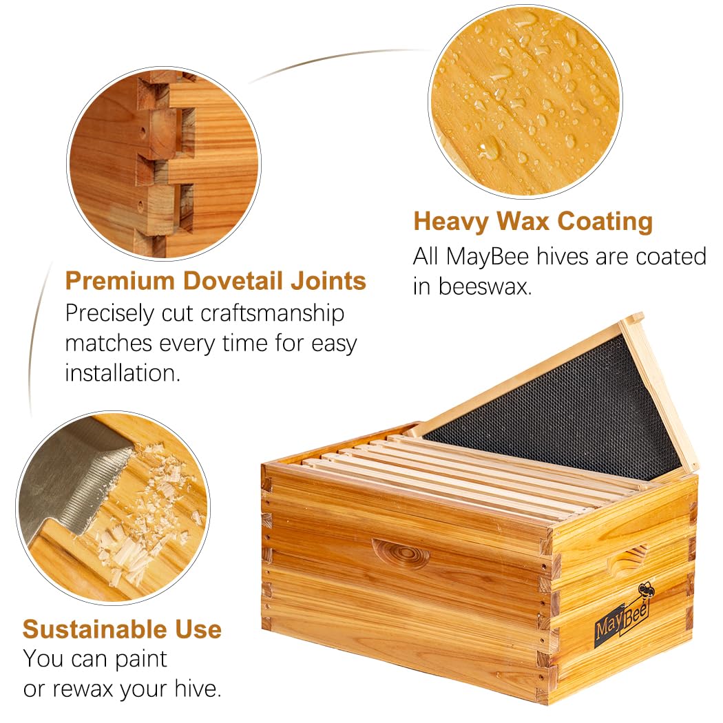 Maybee Langstroth Box mit 8 Holzrahmen und gewachstem Fundament, 100% Bienenwachs