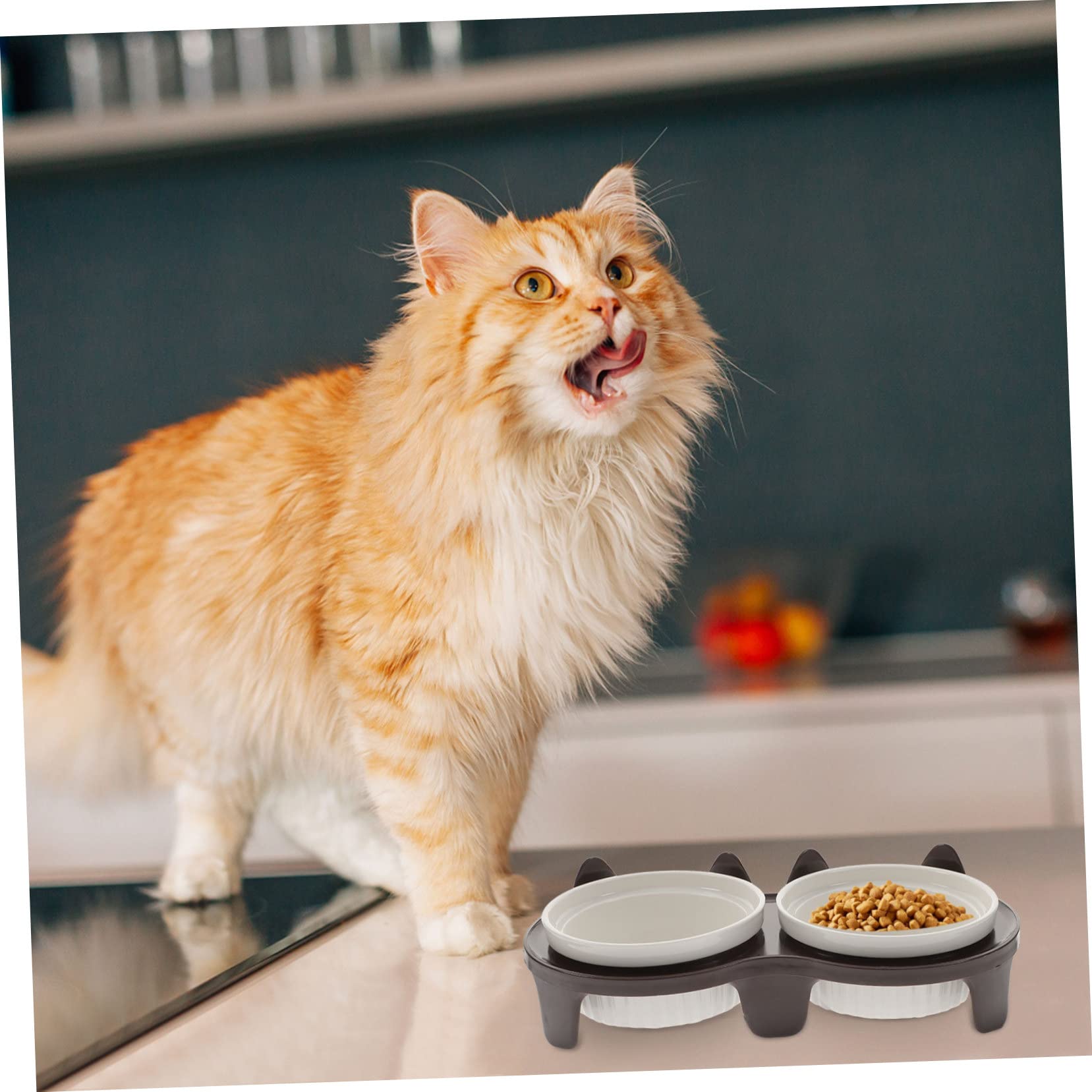 Toyvian Gamelle pour Chat Céramique Double Gamelle de Sol Accessoire pour Animaux de Compagnie Facile à Nettoyer