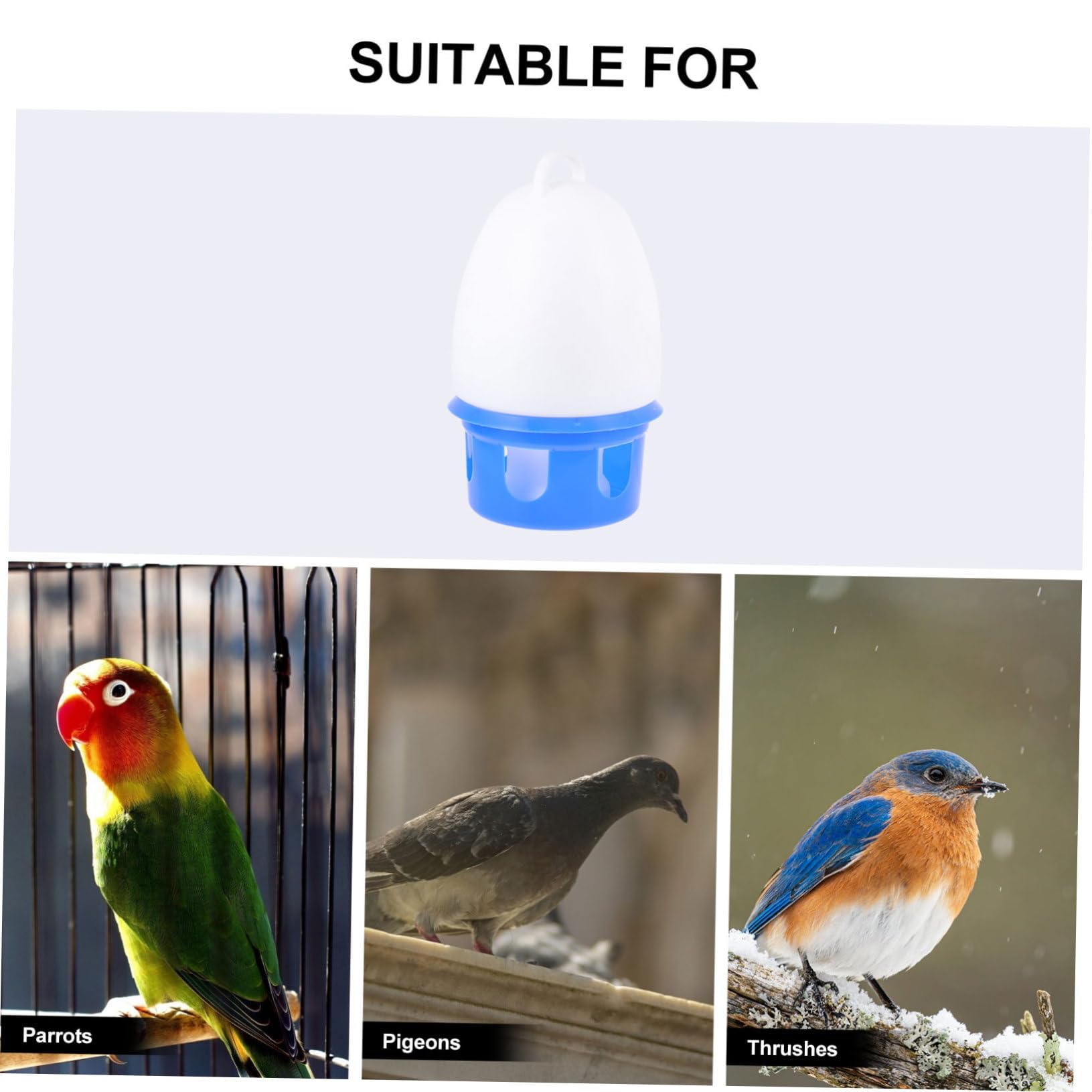 Abbeveratoio Automatico Forma Rotonda per Piccioni in Pvc Blu Bevitore d Acqua Facile da Pulire per Uccelli per Decorazione Domestica
