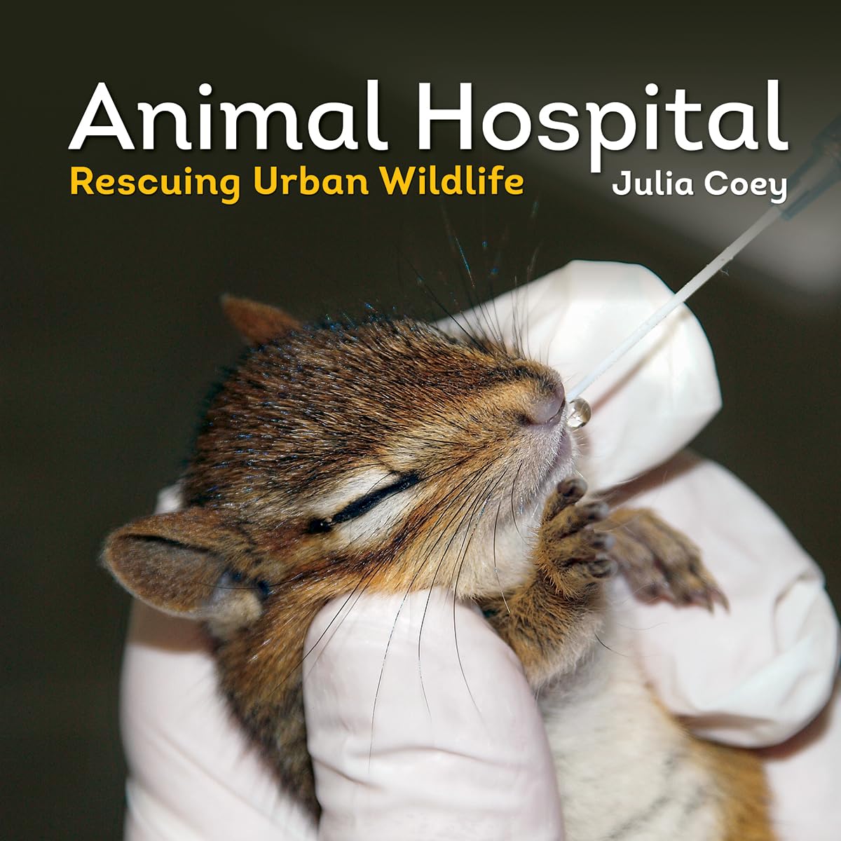 Buy Animal Hospital: Rescuing Urban Wildlife — BookShops.in