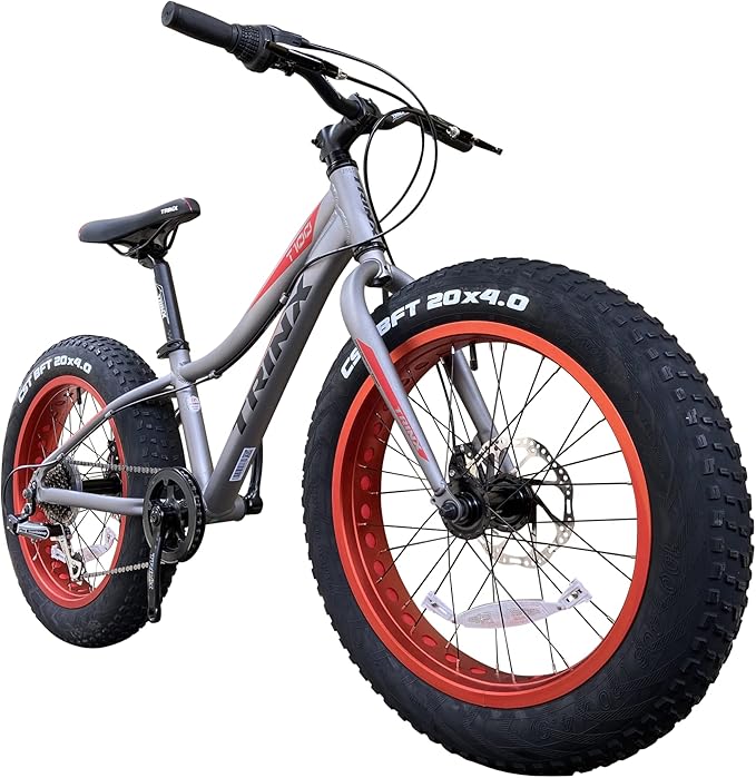 ファットバイク ビーチクルーザー 20インチ 夏休み ツーリング 楽天市場】【売り切れ】大人も乗れる小さめビーチクルーザー20