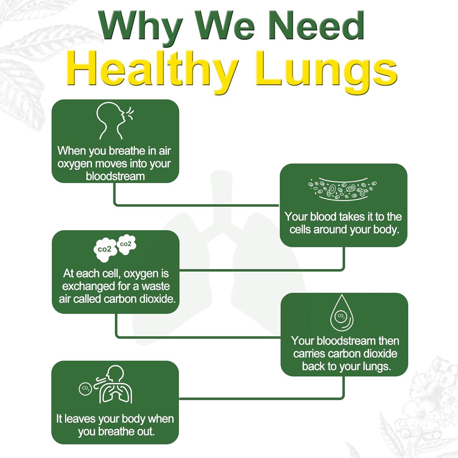 Vegan Omega 3 Gummies 1000mg + Mullein Gummies