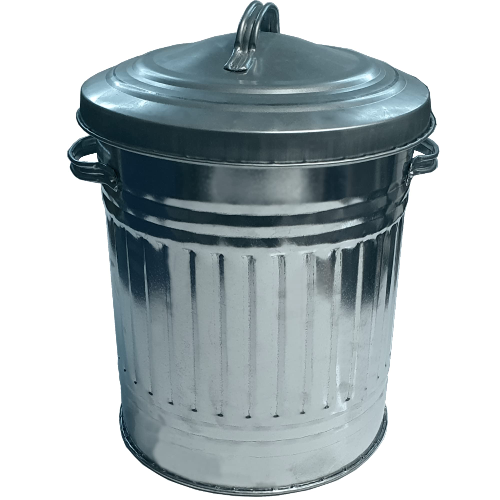 KetoPlastics Metal Bin with Dustbin Lid - Strong Galvanised 30 Litre Bin Ideal for Home, Kitchen Rubbish, Outdoor, Indoor Use, Animal Feed, Pet Food