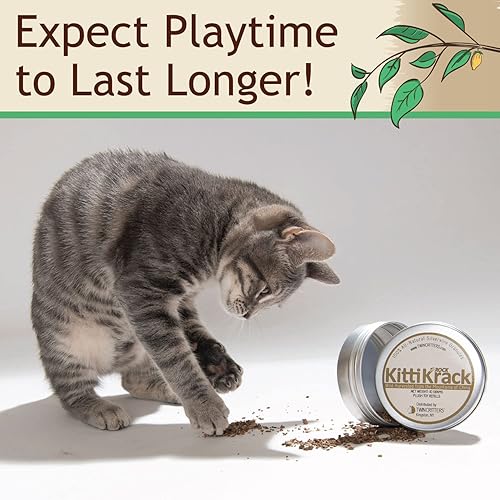 Miniatura 6 de KittiKrack Rock Organic Silvervine - Sustituto de hierba gatera para gatos y gatitos Gránulos de vid plateada cosechados salvajes totalmente