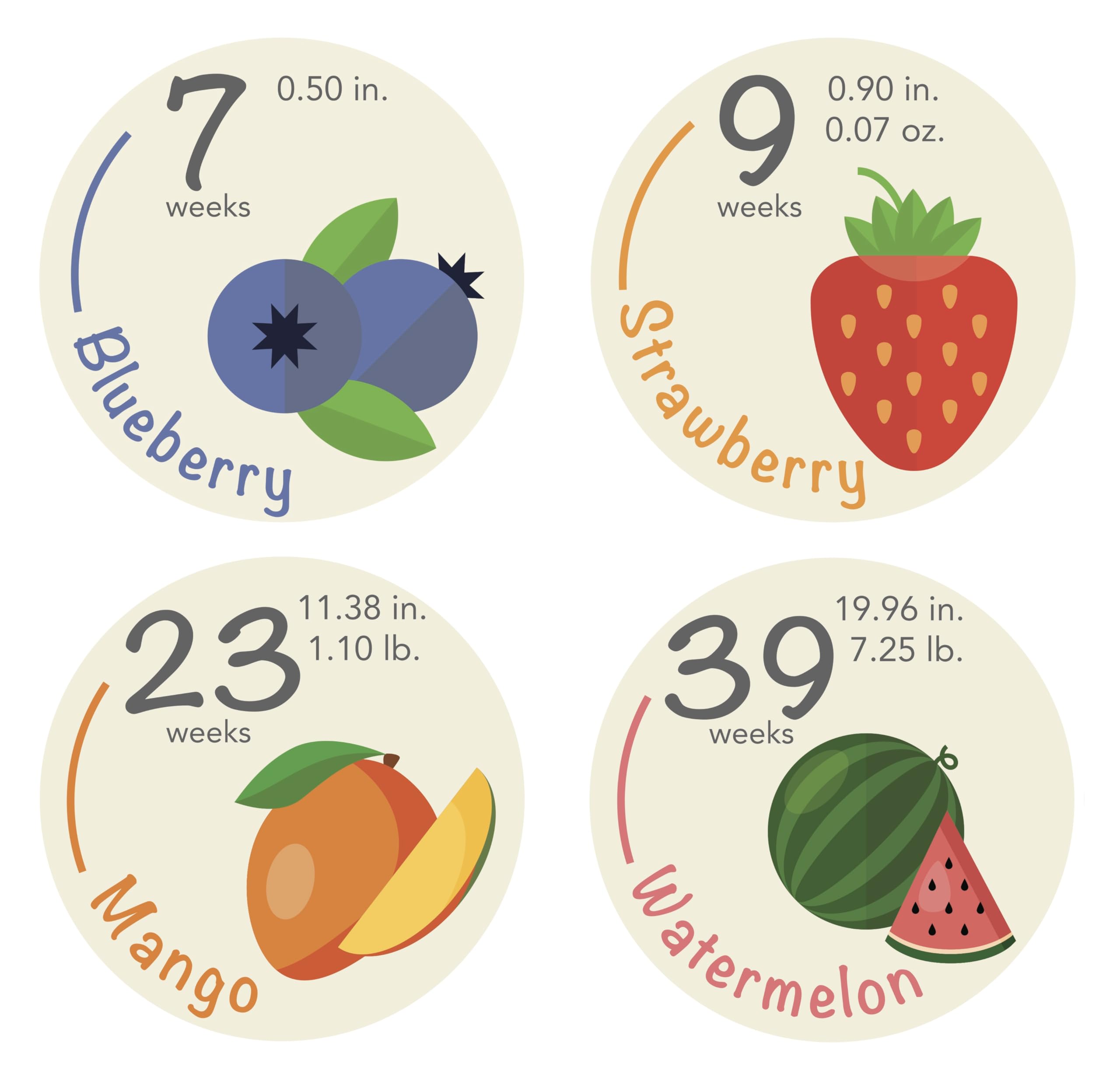 Months In Motion Weekly Pregnancy Stickers - Set Of 36 Baby Bump Photo Props For Maternity Photos - View #5