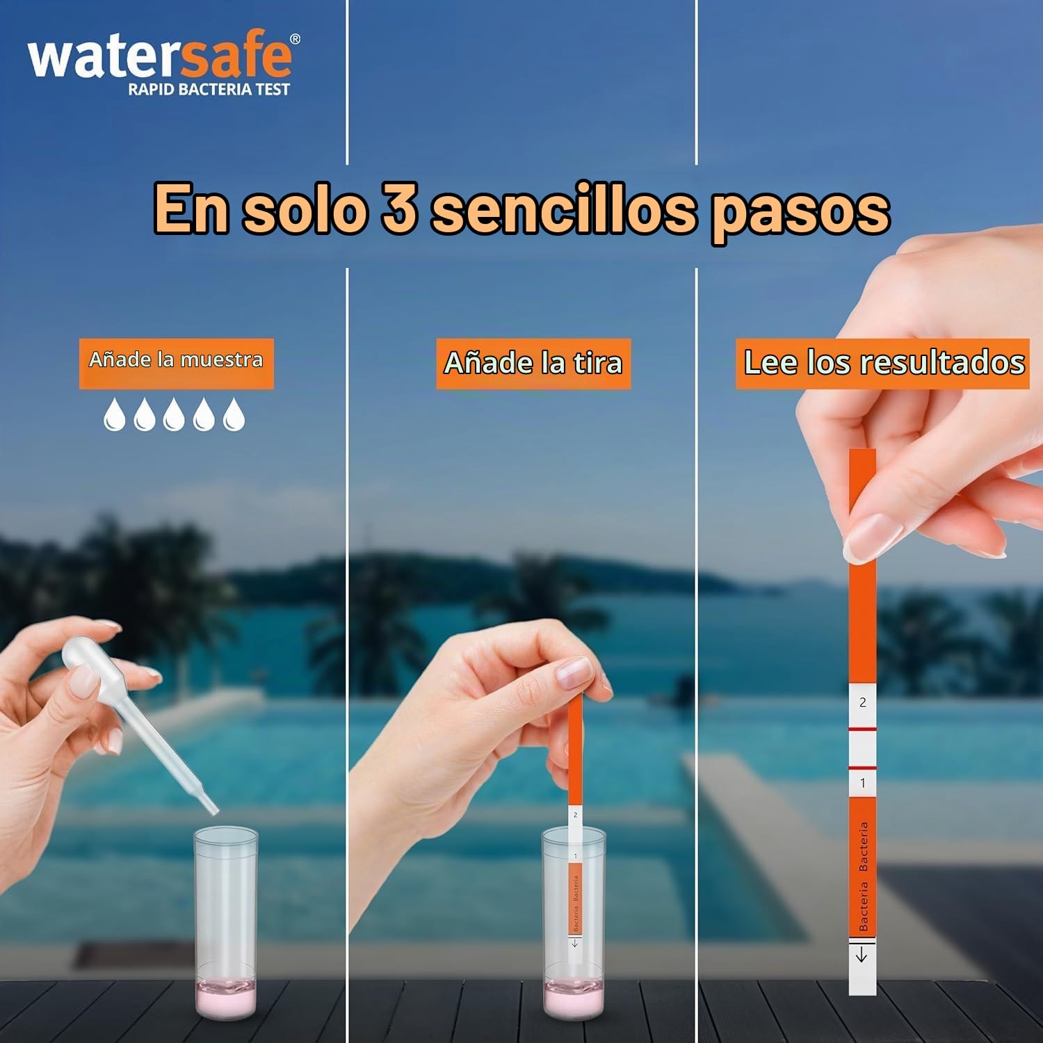 Watersafe Rapid Bacterias Prueba 10-Pack. Detecta E. Coli, Pseudomonas en 15 Minutos Ideal para Piscina, Spa & Recreativo Agua