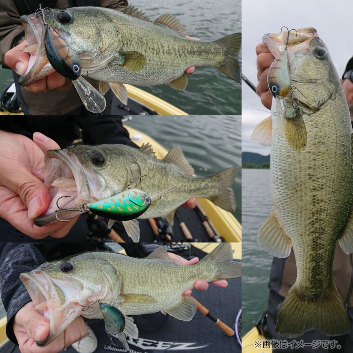 Daiwa Steez Crank 400F-DR 70mm Ayu Crankbait bleifrei