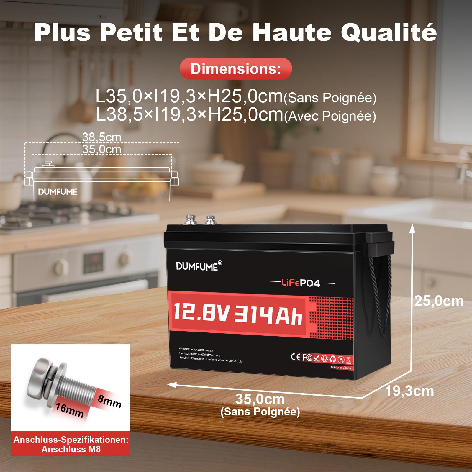 Batterie Lithium 12V 314Ah LiFePO4, Améliorée Batterie 12V 300Ah, 4019Wh BMS 200A, Protection Basse Température pour Stockage Solaire, Camping-Car, Alimentation Secours, Hors-Réseau
