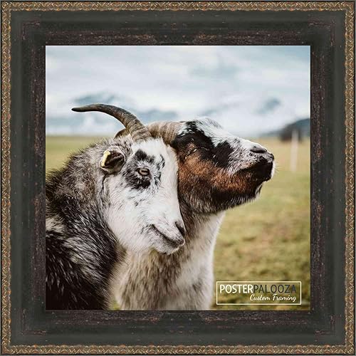 Miniatura 9 de Poster Palooza 30x36 Traditional Black Complete Wood Picture Frame with UV Acrylic, Foam Board Backing, & Hardware