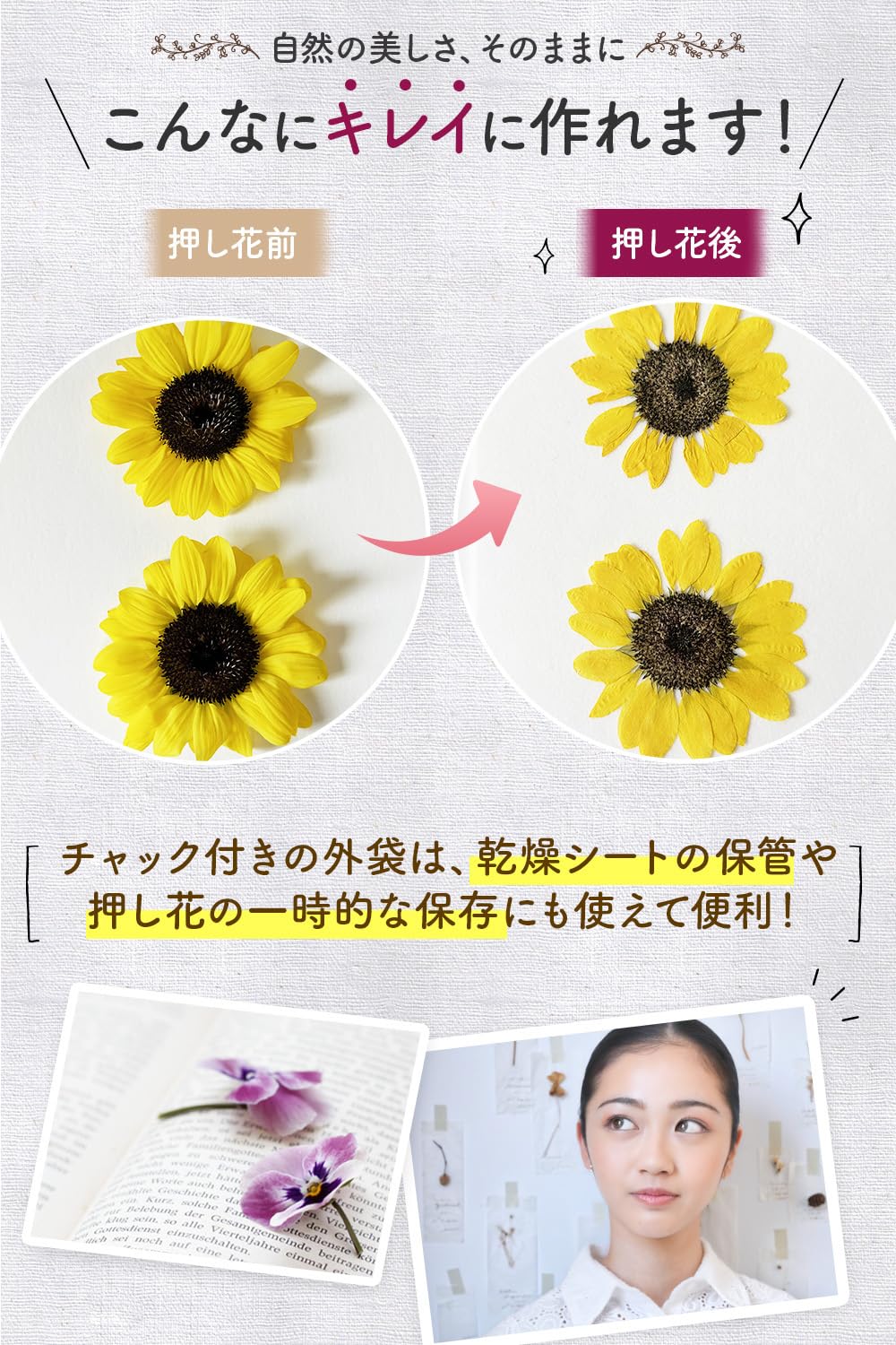 押し花用　PANPASTEL27色29個 押し花用PANPASTEL27色29個