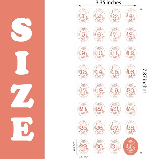 Aixoom 12 Monthly Calendar Number Stickers, Colorful Planner Date Stickers