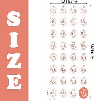 Aixoom 12 Monthly Calendar Number Stickers, Colorful Planner Date Stickers