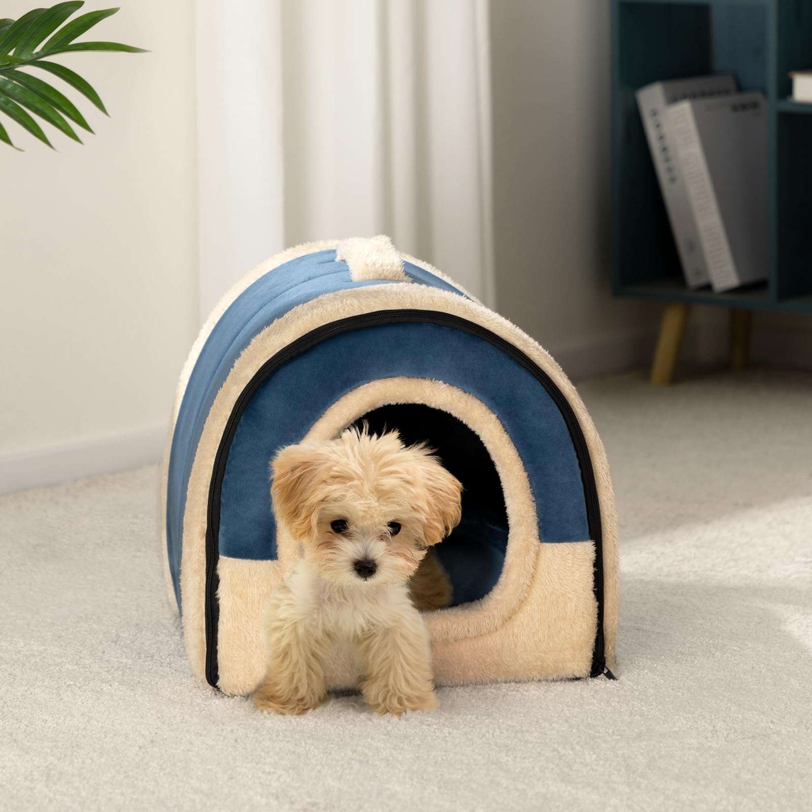 Hollypet Cat Bed Small Dog Bed, 2-in-1 Foldable Pet Beds for Cats and Small Dogs Crystal Velvet Cat Cave Indoor Outdoor, Dark Blue - Image 4
