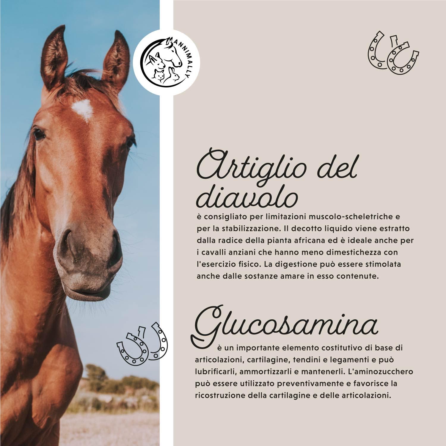 Liquido articolazioni per cavalli 1000ml con artiglio del diavolo cavallo, glucosamina e MSM cavallo (zolfo) liquido- Per il rafforzamento delle articolazioni del cavallo- msm integratore per cavalli