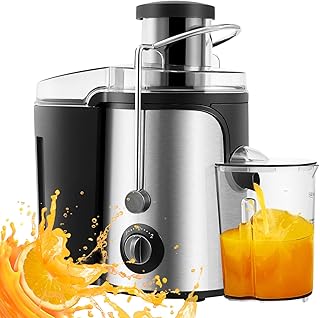LEMROE Dual Speed Mode Centrifugal Juicers Whole Fruit and Vegetable Easy Clean 600W Stainless Steel Juicer Machine with Wide Mouth
