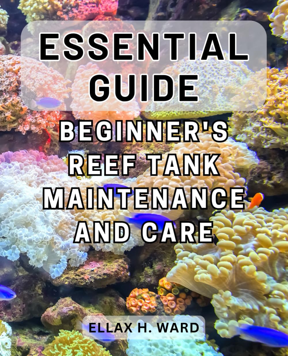 View of Saltwater Aquarium Maintenance (Guide & Checklist) - Reef Tank Resource