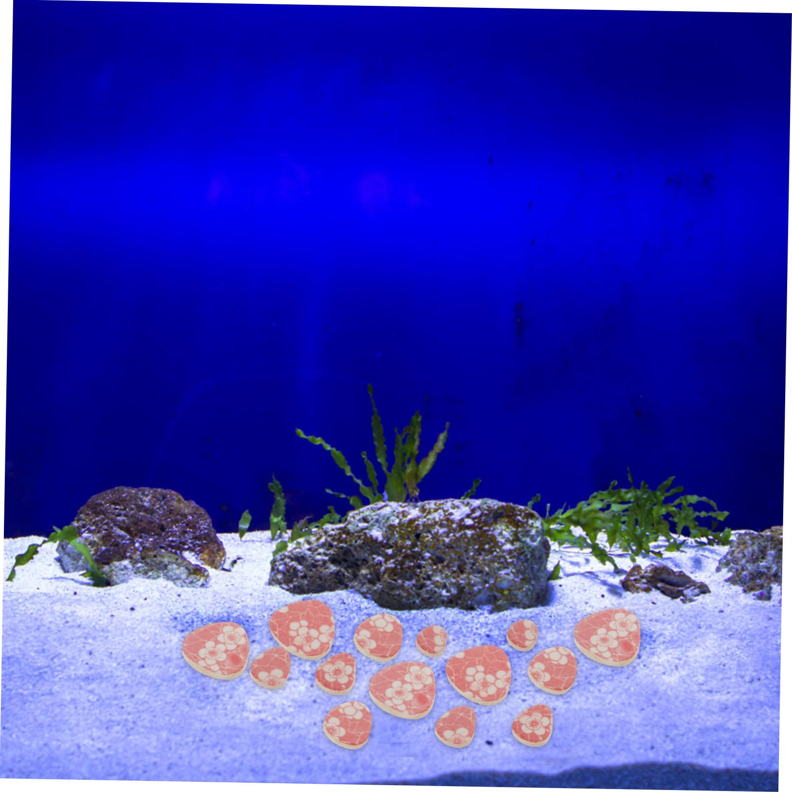 Yardwe 2 Pezzi 1 decorazione dell'acquario pietre decorative sassolini decorativi substrato paesaggio decorazioni giardino di ciottoli paesaggistici rocce decorative per fioriere ciottolo