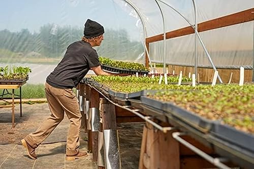 Miniatura 8 de Dickies Dri-Tech - Calcetines para hombre con control de humedad, paquete múltiple, grisazulmarrón (12 pares), 12-15, GrisAzulMarrón (12 Pares)