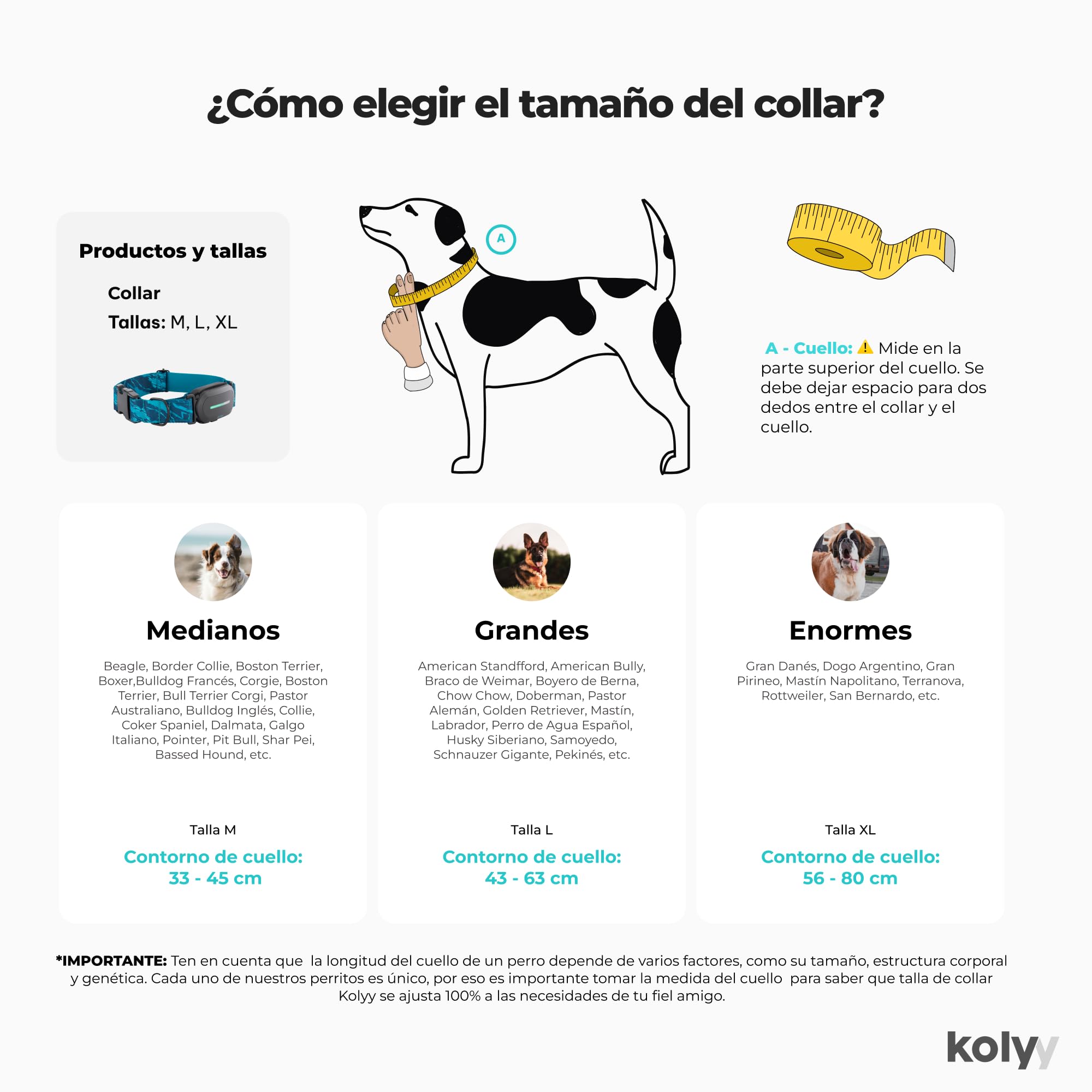 Series 2 - Collar GPS para Perros Control vía App - Localización Internacional en Tiempo Real - Salud Seguimiento - 3 Zonas Seguras - Hecho en España