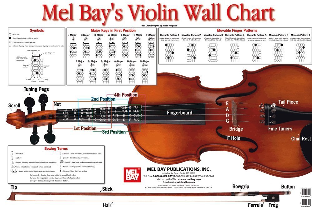 Violin Wall Chart by Martin Norgaard