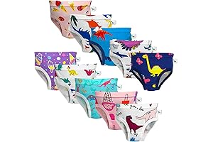 Charming Dinosaur Underwear for Little Explorers