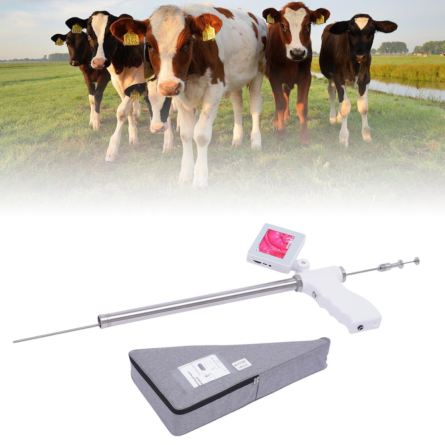 Wizualny inseminator, widoczny pistolet do inseminacji zwierząt, inseminacja endoskopowa, wspólna dla świń, owiec, psów i bydła, z kamerą o wysokiej rozdzielczości cow/horse