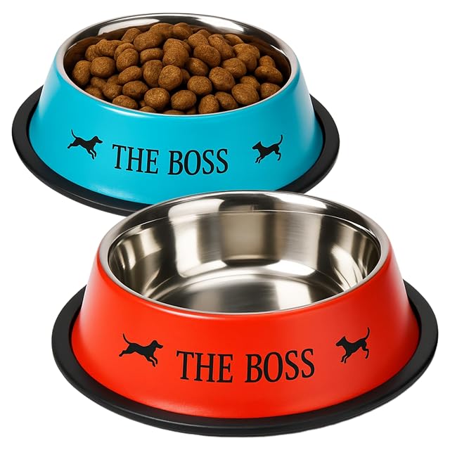 MOLY Comedero de Acero Inoxidable Antideslizante para Perro, Gato y Mascotas 22 cm Azul