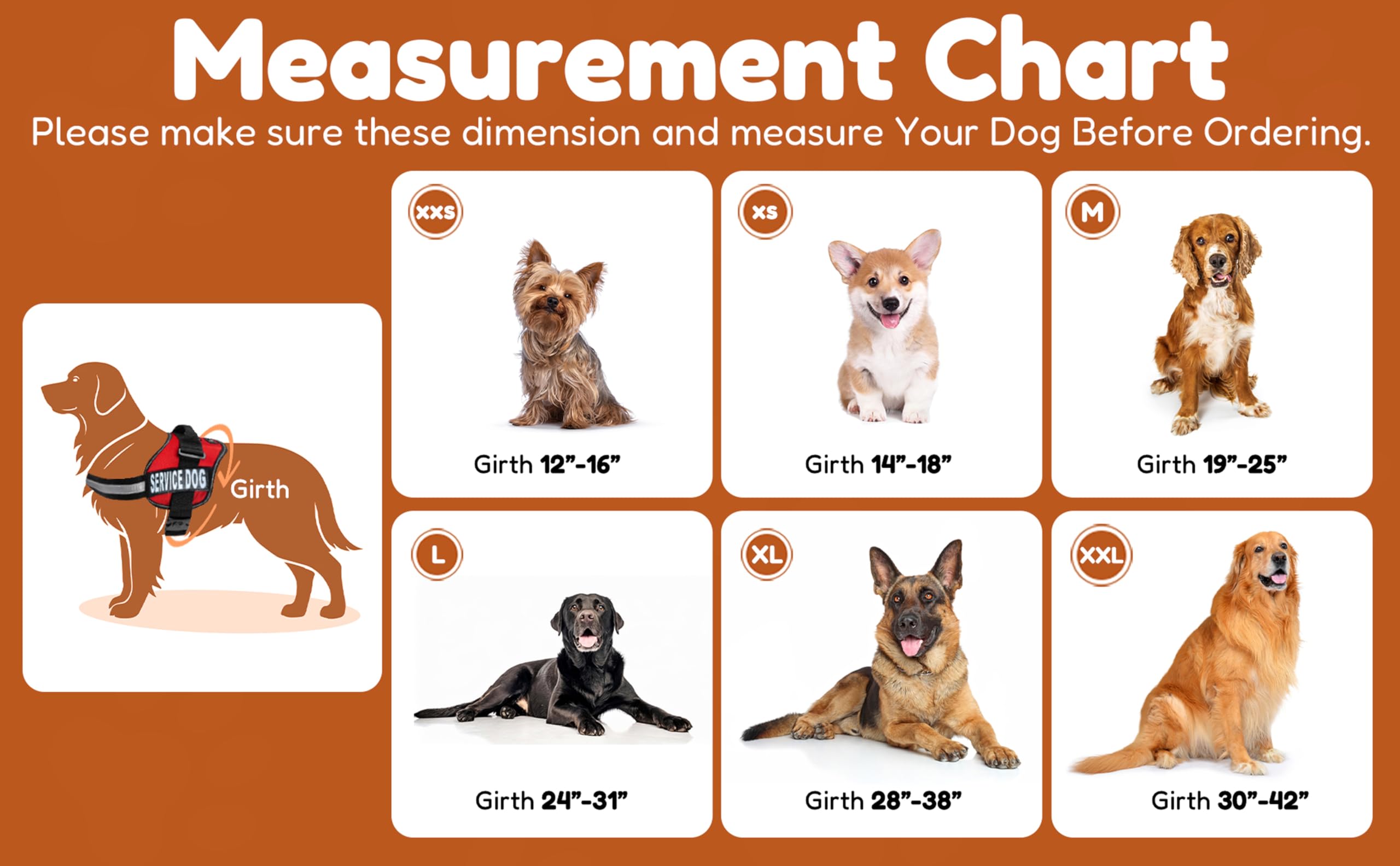 Doggie Stylz Dog Harness with DO NOT PET Patches – No Pull Service Dog Vest and Service Animal Vest for Dogs – Adjustable Gentle Leader for Dogs – Reflective, Heavy-Duty for Training and Walking