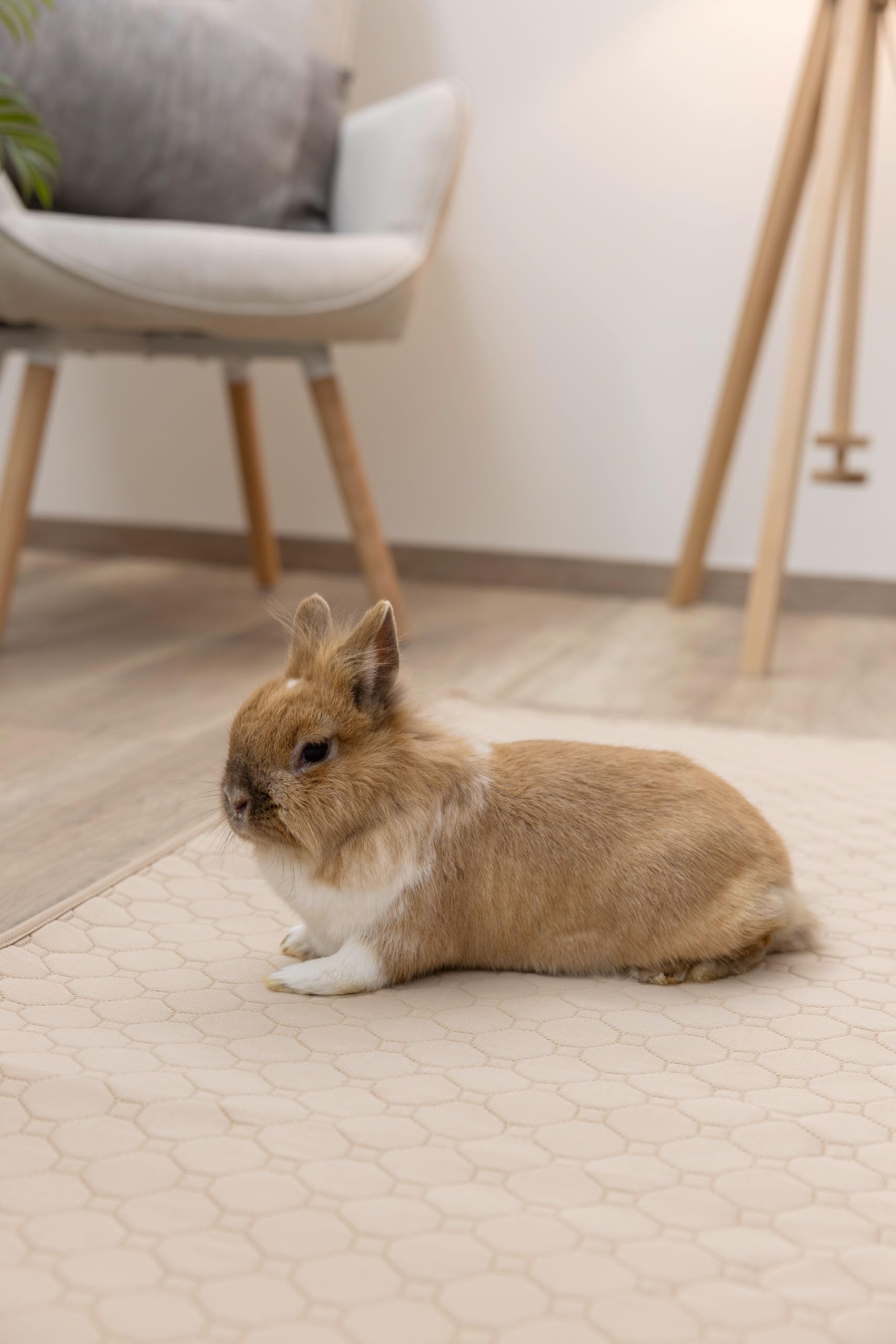 Kerbl Pet Tapis urinaire Lavable, pour Lapins et rongeurs, Absorbant et hygiénique, Lavable à 60 °C, Dessous étanche, Marron, 200x120 cm