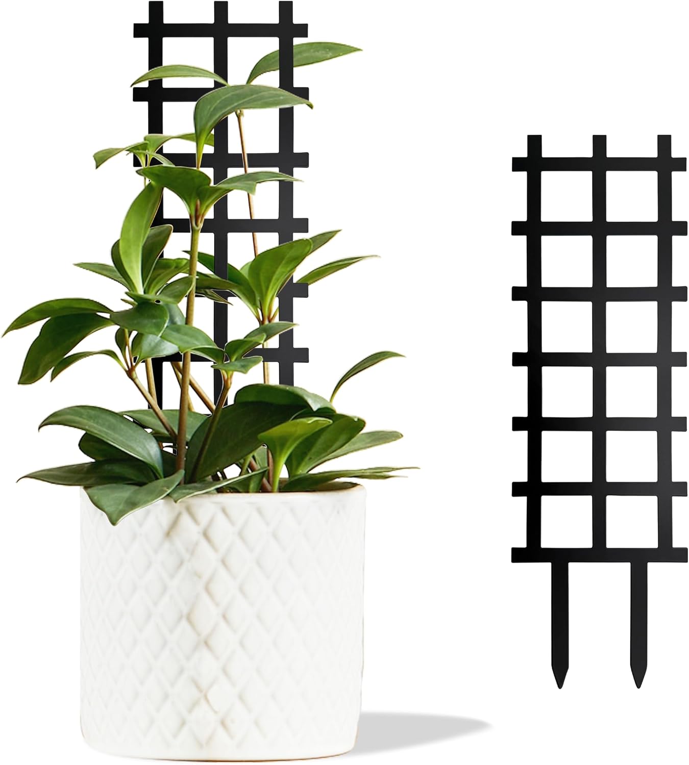 Metal Ladder Indoor Plant Trellis,14.96 inch for Climbing Plants Indoor