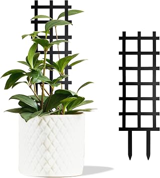 Metal Ladder Indoor Plant Trellis,14.96 inch Metal Plant Trellis for Climbing Plants Indoor.Rustproof House Plant Support for Pothos Hoya Ivy Flower