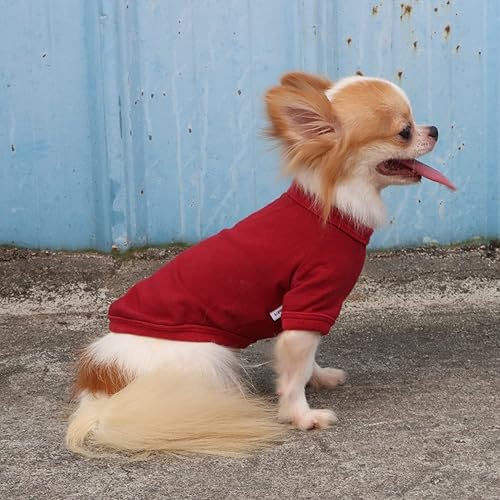 Miniatura 6 de LOPHIPETS Camiseta de perro 100% algodón para perros pequeños, taza de té Chihuahua, Yorkie, ropa para cachorros, color rojo, S