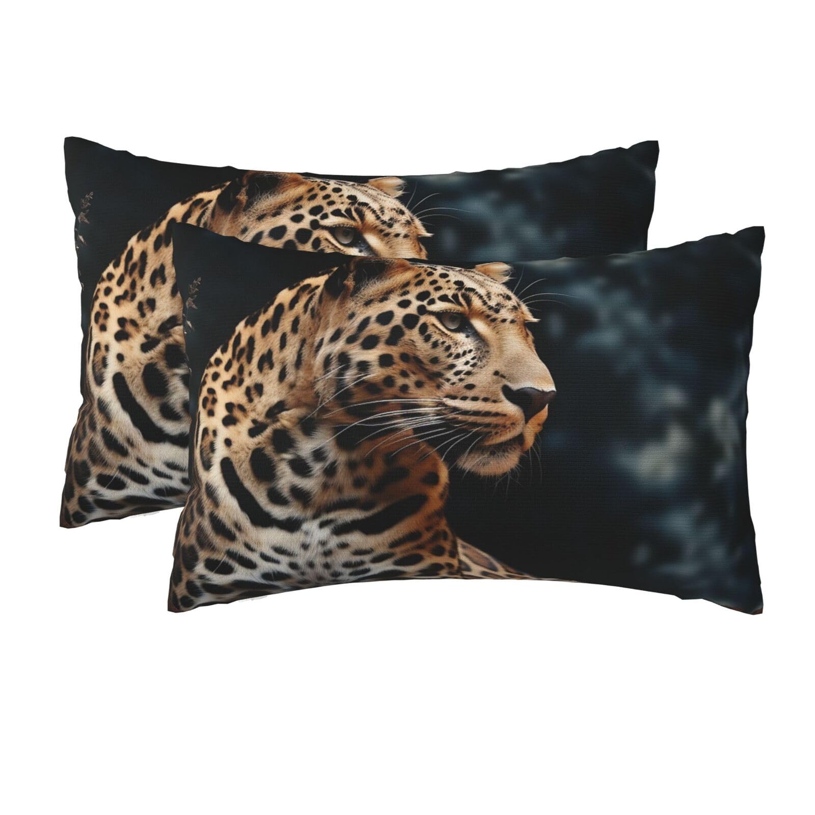 2 Pack Queen Size Pillow Cases for Hair and Skin Soft Breathable Pillow Case Covers with Hidden Zipper A Leopard Sits Pillowcase 20x30 Inches Pillow Cover for Sleeping Gift
