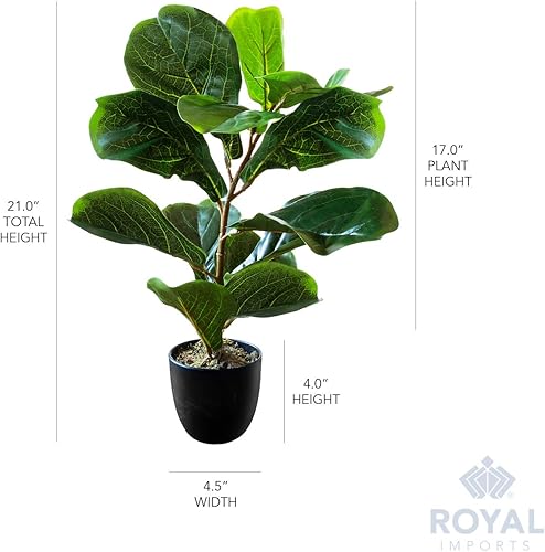 Miniatura 6 de Royal Imports Planta artificial de hoja de violín, árbol de higuera artificial de ficus, verde oscuro en maceta decorativa, 21 pulgadas de alto