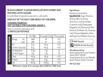 Blackcurrant Flavour Pastilles, Honey & Menthol, 12 Pastilles