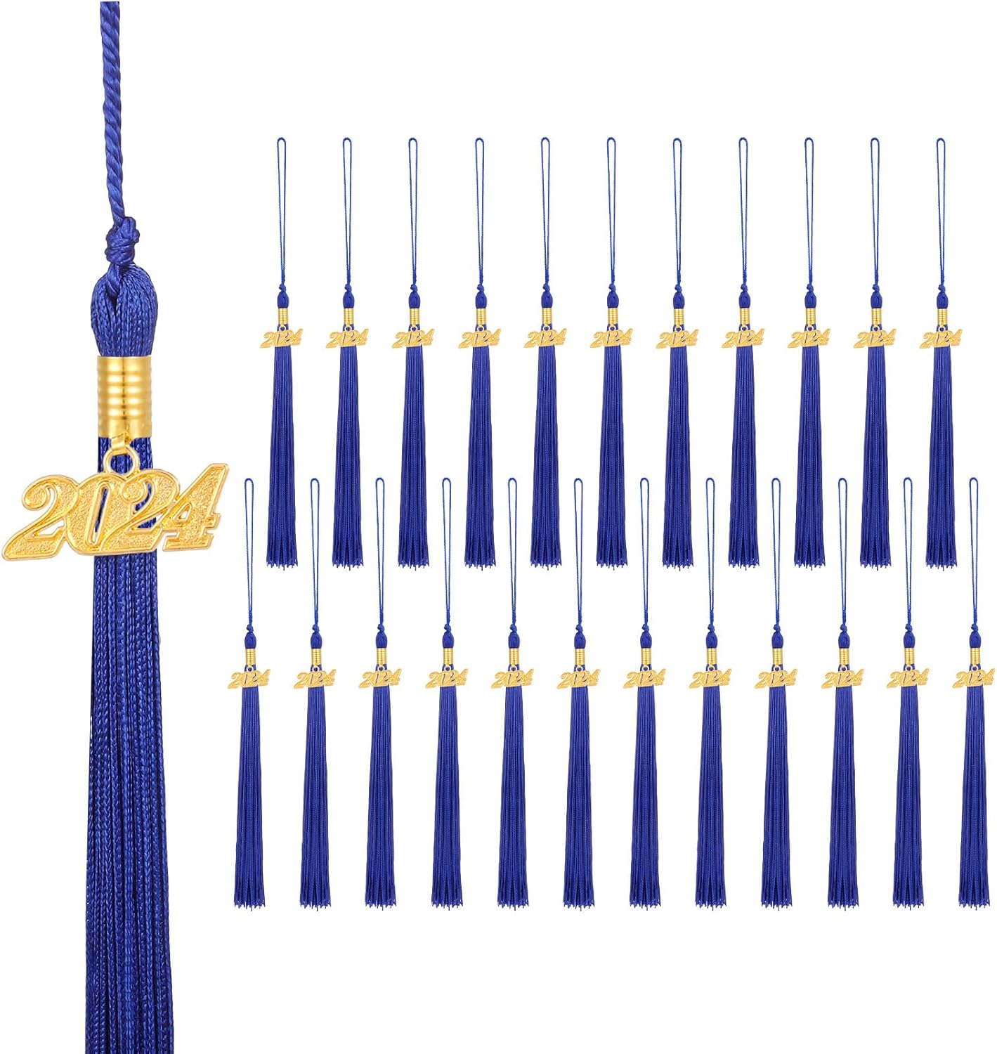 Guiqulai 24 Pieces 2024 Grad Graduation Tassels Graduation