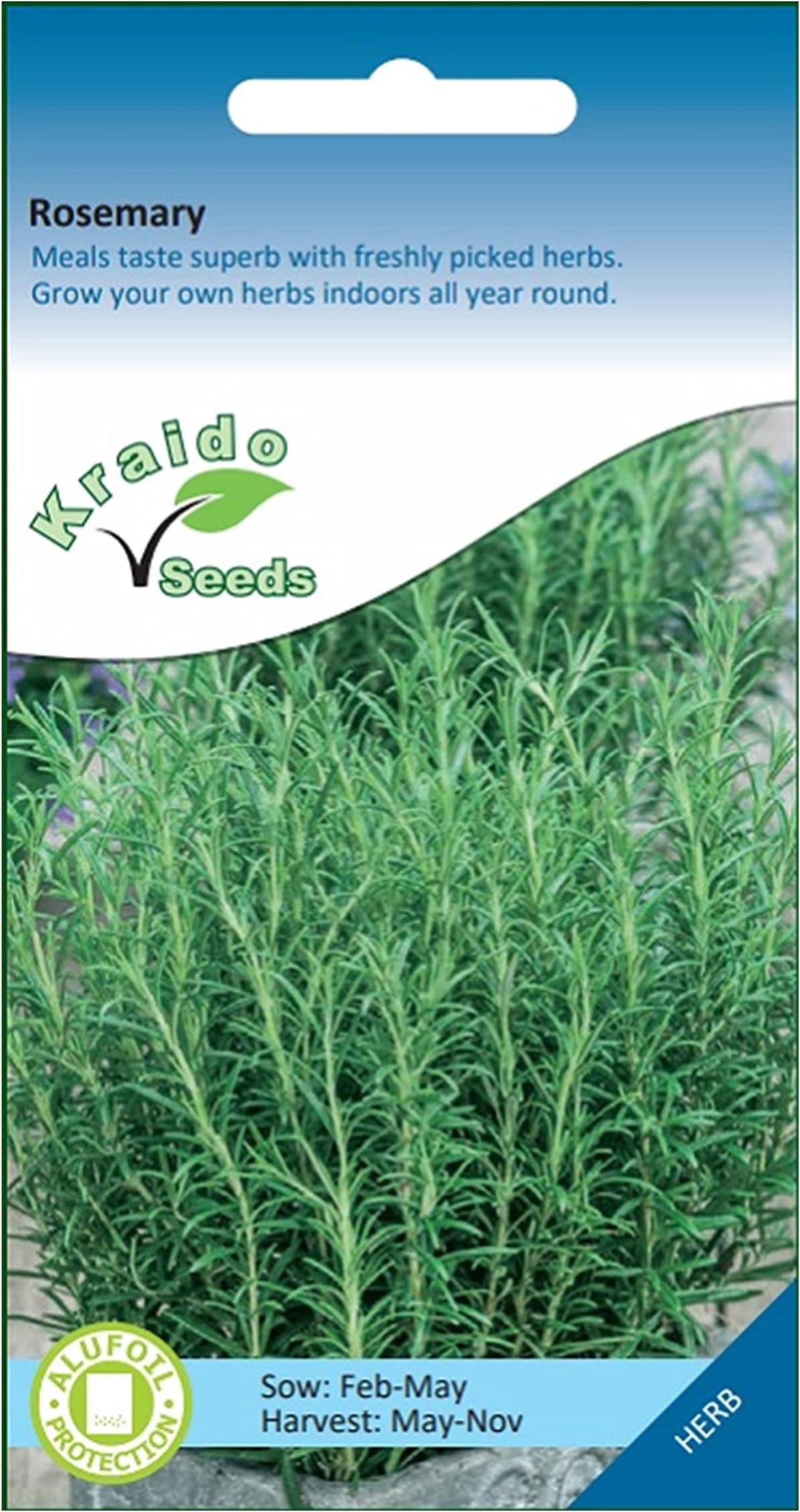 Rosemary Herb 75 Seeds Salvia Rosmarinus, Grow Your Own Herb Garden Indoors on a Windowsill or Outdoors in Pots and Containers