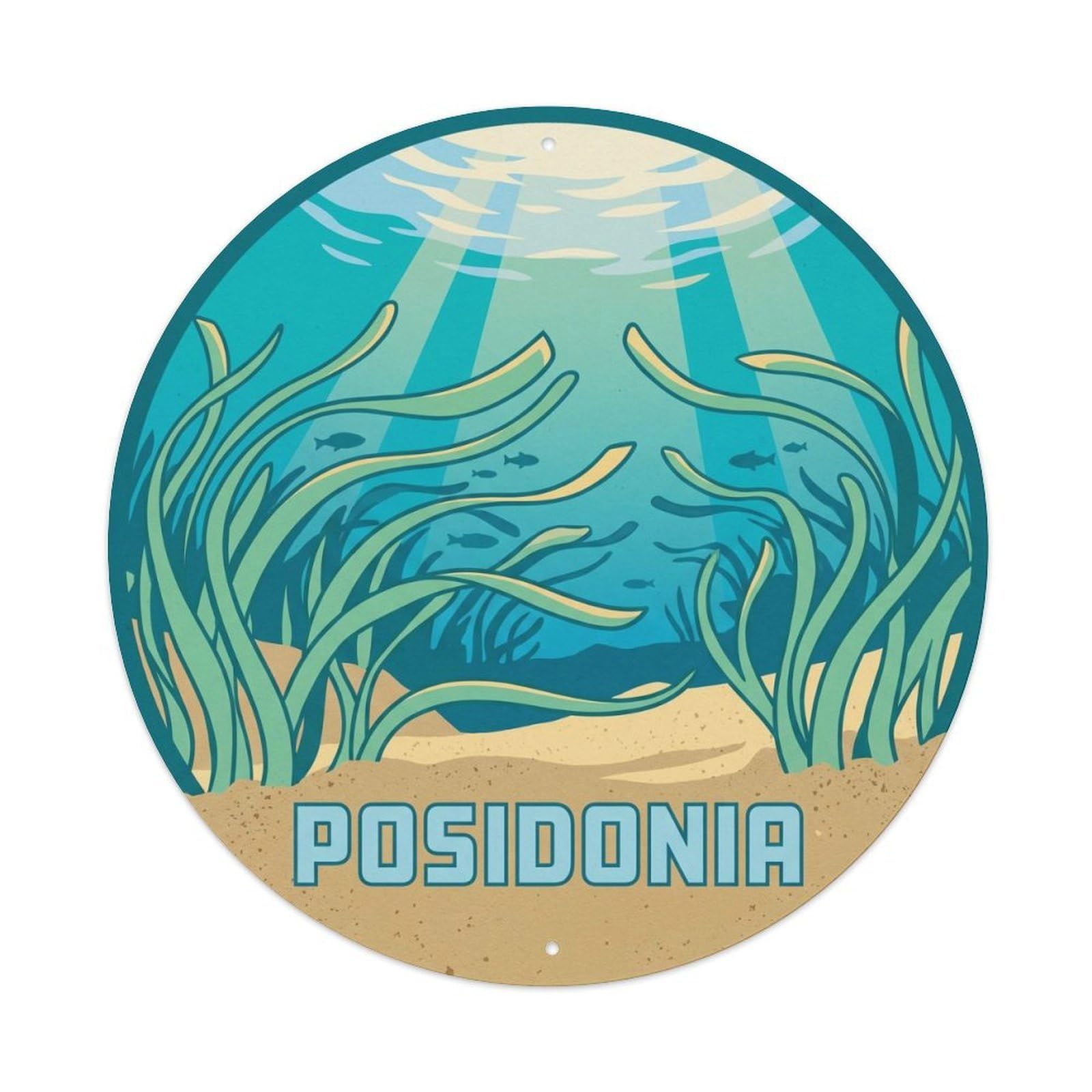 Mallorca Posidonia Seagrass Island Heritage Seaside Metal Tin Sign
