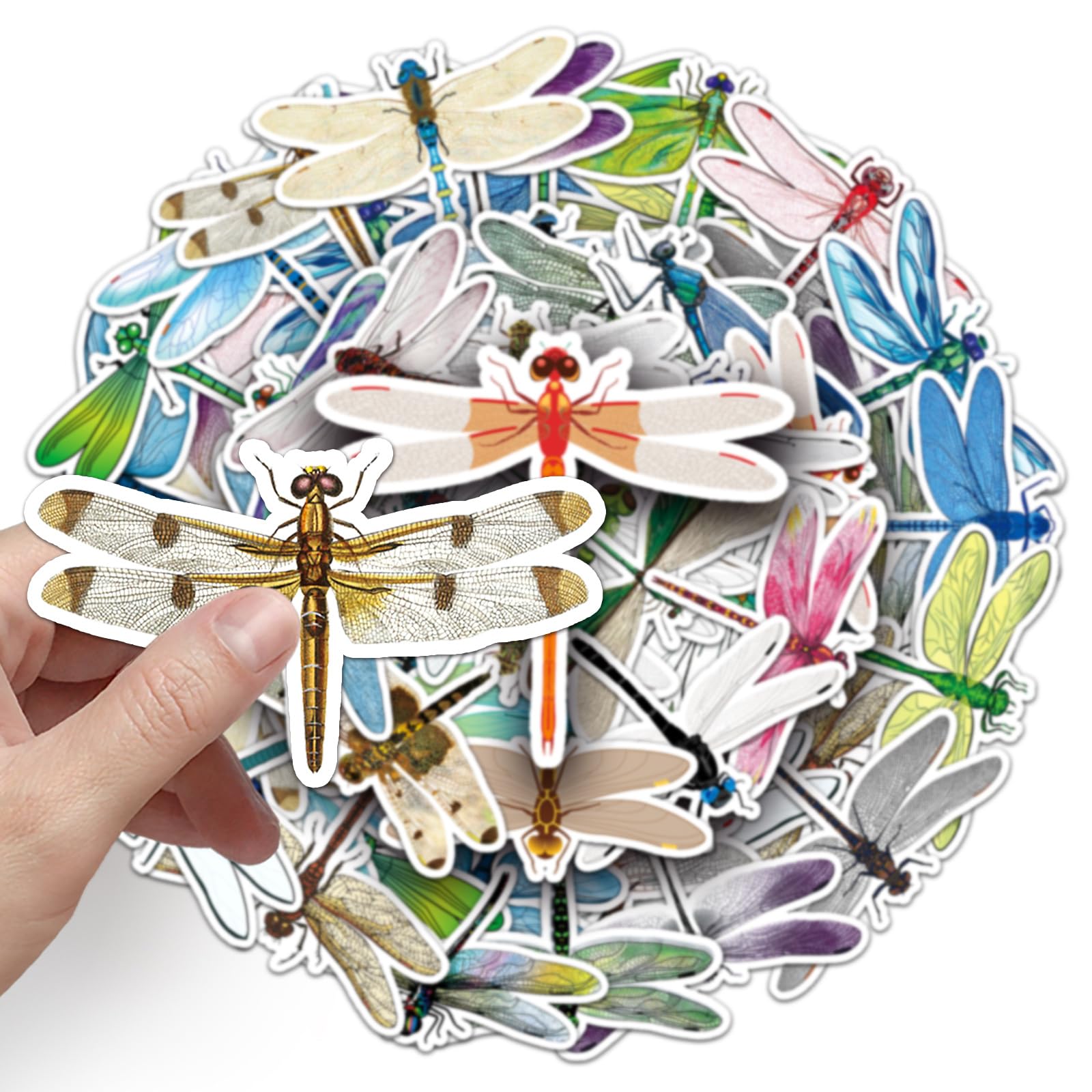 Dragonfly Stickers for Laptop (50 PCS),Gift for Children Teens Adults Girl Boys,Waterproof Stickers for Water Bottle,Dragonfly Vinyl Stickers for Scrapbook,Skateboard,Bike,Phone,Dairy - Image 3