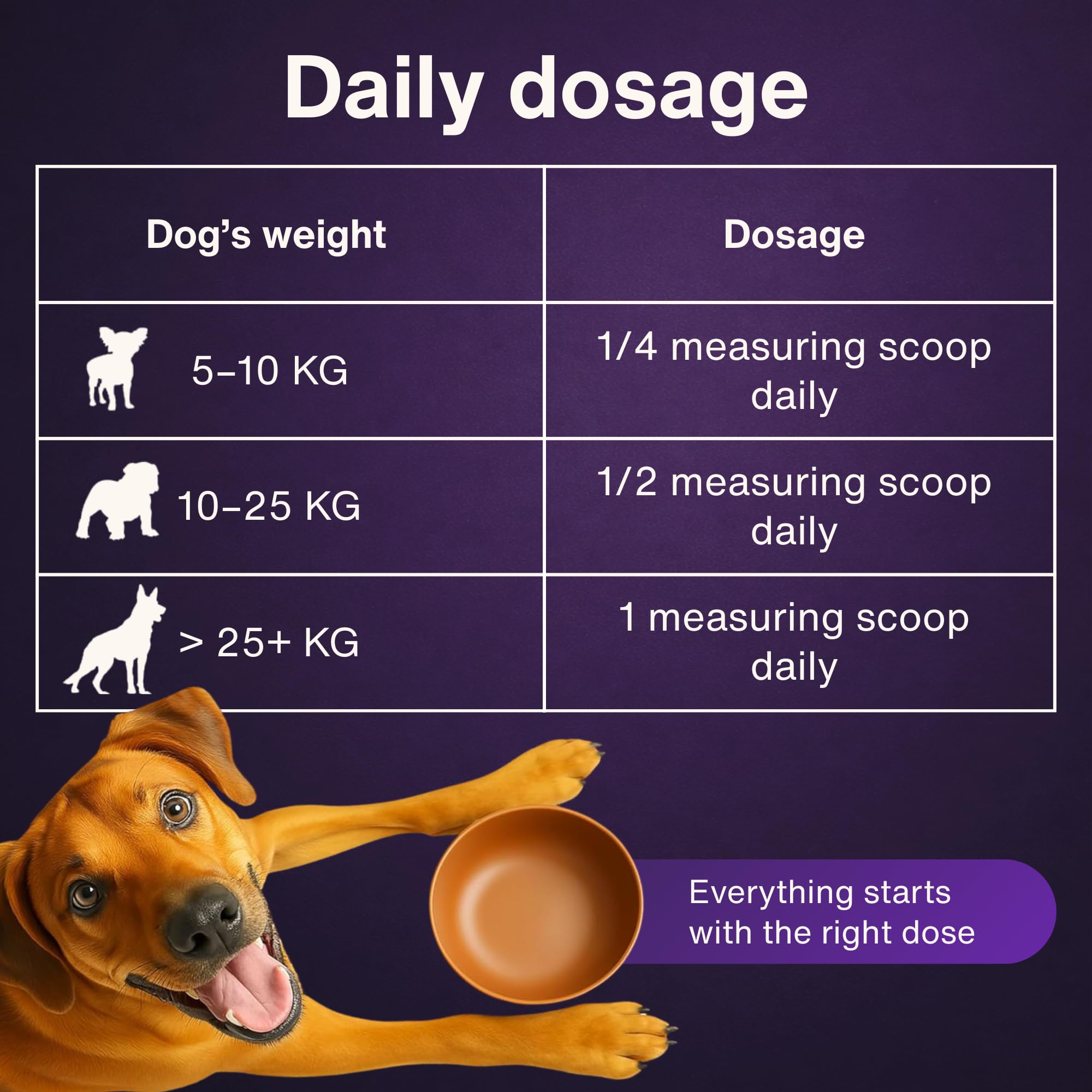 Dr. Flex Kolagen dla Psów + Kompleks Witaminy B – 300 g proszku z 4500 mg kolagenu wołowego i 500 mg hydrolizowanego kolagenu morskiego Typ I, II, III – witaminy B12, B1, B2, B3, B5, B9