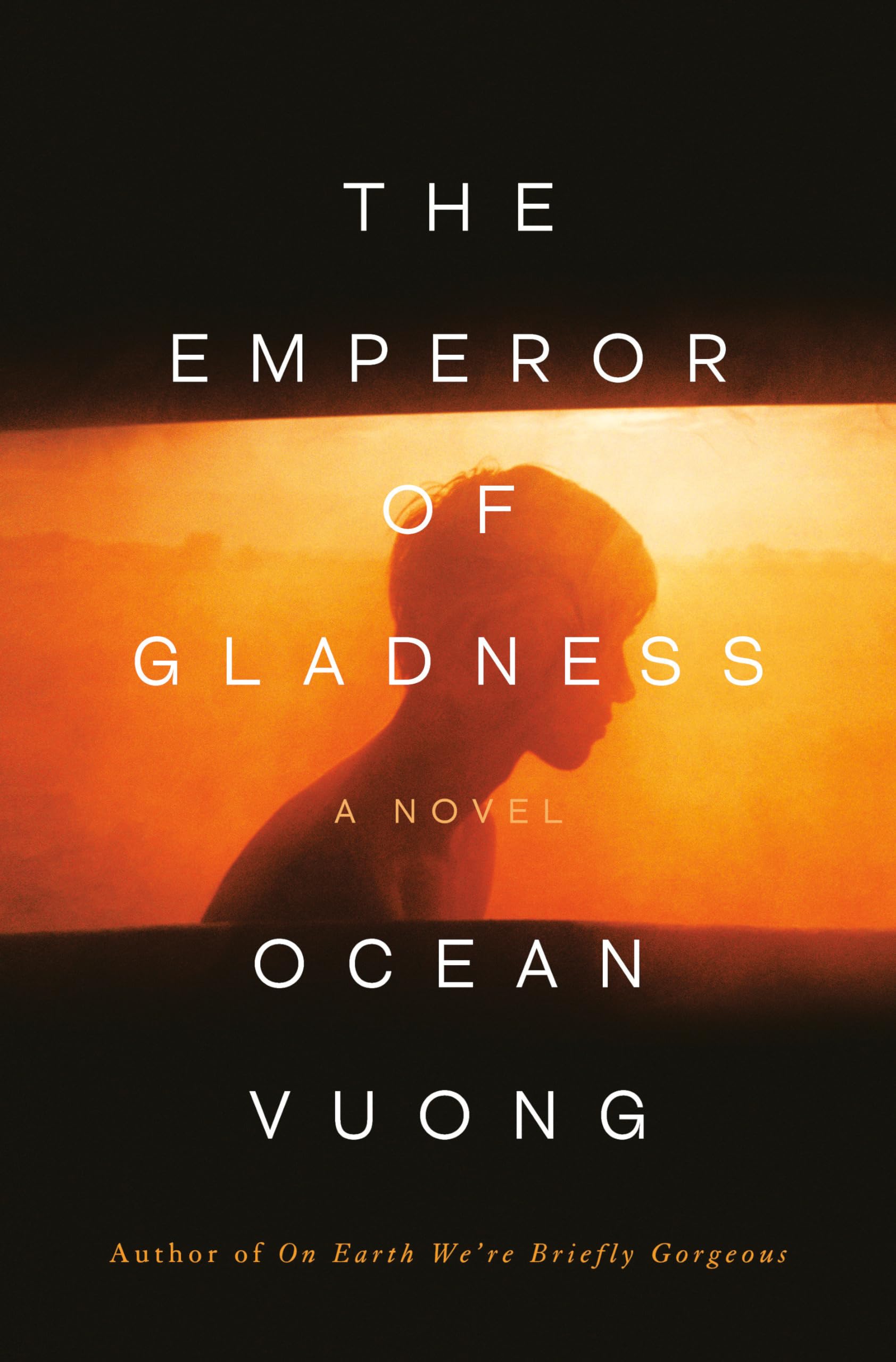 The emperor of Gladness: a novel