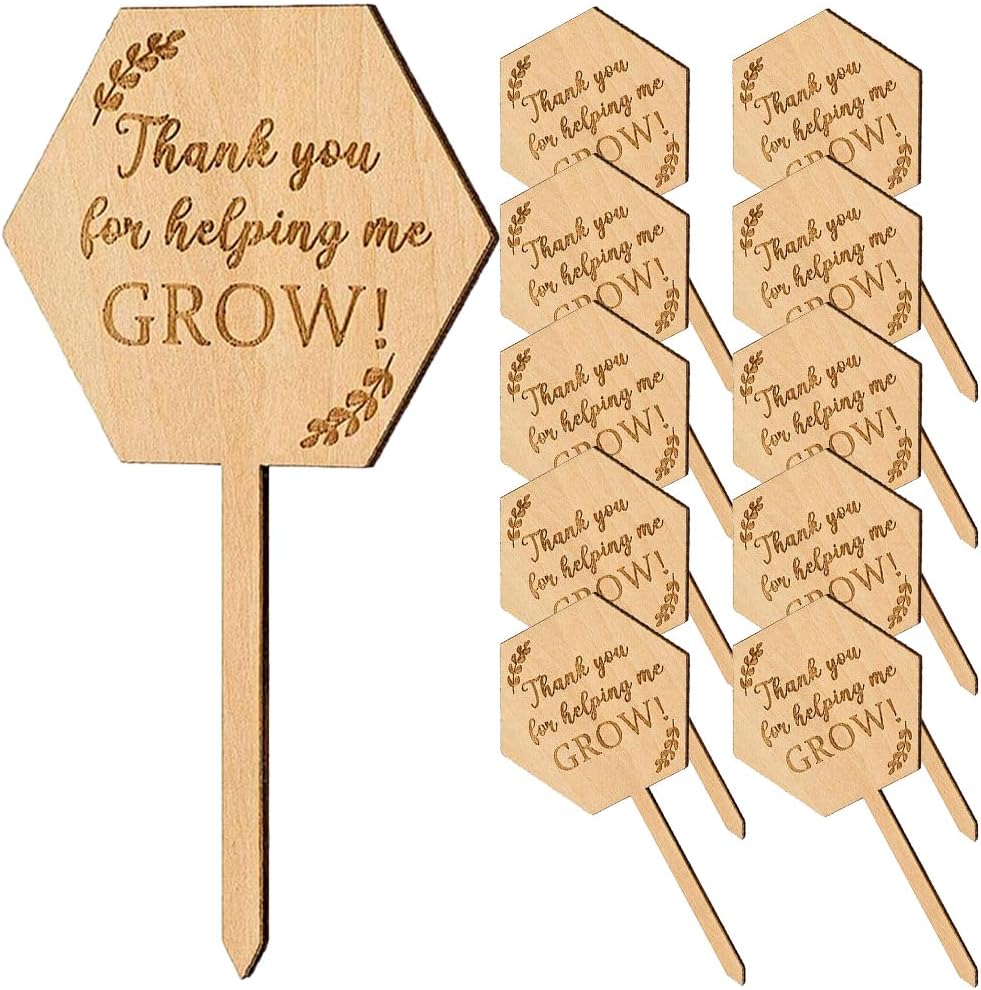 Sosoport 20Pcs Plant Labels Wood Plant Tags Wooden Plant Stakes Labels Succulent Marker Signs Thank You for Helping Me Grow Labels for Thanksgiving Teacher Appreciation