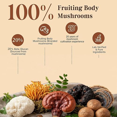 Miniatura 6 de Café de hongos 10 en 1, café instantáneo de hongos en polvo con melena de león, Cordyceps, Reishi, Shiitake, cola de pavo, trompeta King, para