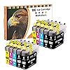 D&C Compatible Ink Cartridge for Brother LC123 LC123XL for Brother DCP-J132W DCP-J152W DCP-J172W MFC-J6520DW MFC-J6720DW MFC-J6920DW MFC-J4510DW MFC-J470DW DCP-J4110DW DCP-J552DW (10 Pack) D&C Compatible Ink Cartridge for Brother LC123 LC123XL for Brother DCP-J132W DCP-J152W DCP-J172W MFC-J6520DW MFC-J6720DW MFC-J6920DW MFC-J4510DW MFC-J470DW DCP-J4110DW DCP-J552DW (10 Pack)