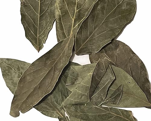 Miniatura 3 de Hojas de aguacate secas, hojas de aguacate seco, té de hojas de aguacate 2 onzas y 4 onzas (2)