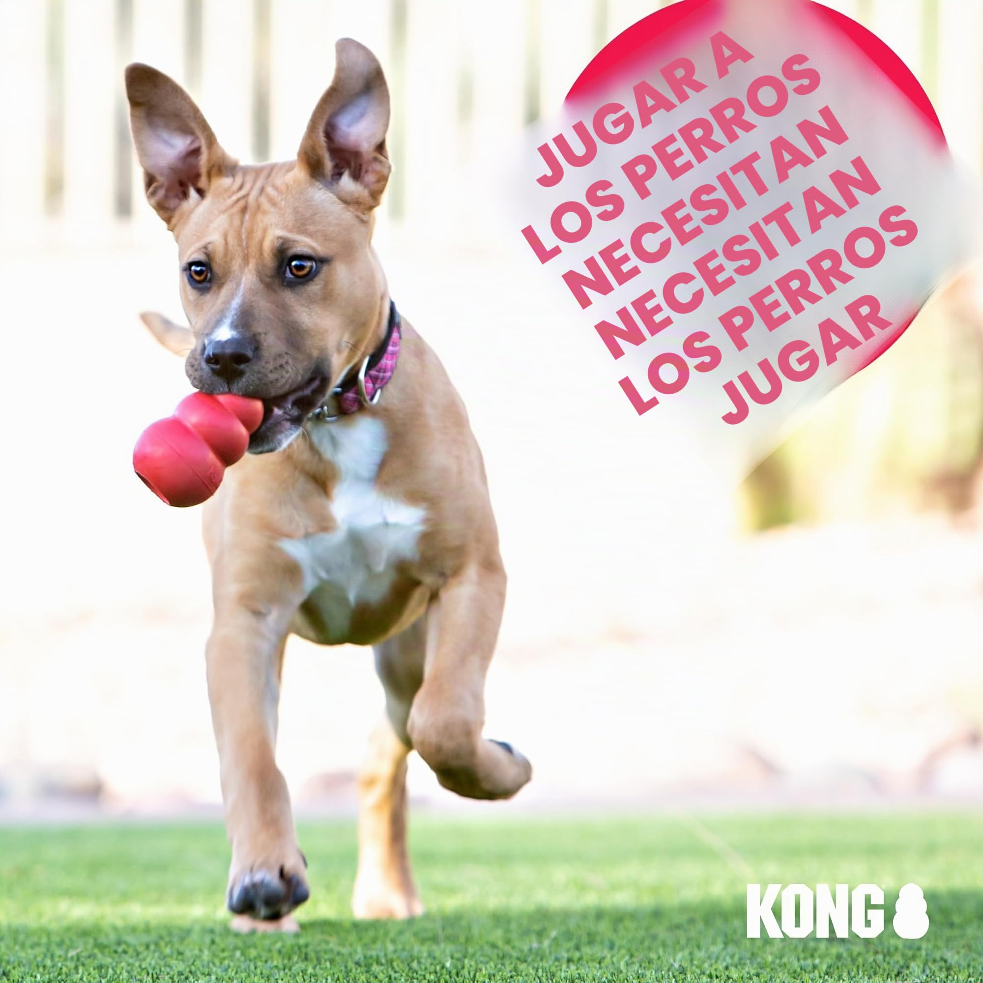 KONG - Jumbler Football - Juguete con pelota de tenis (varios colores) - Para Perros Medianos/Grandes