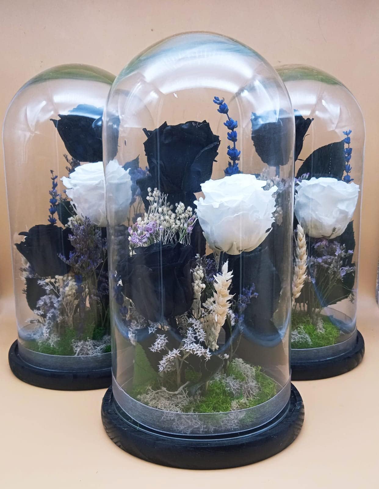 Eternal Black Roses, White Eternal Rose, Glass Dome, Height 30 cm, White Dome, Preserved Eternal Black Roses, Made in Spain