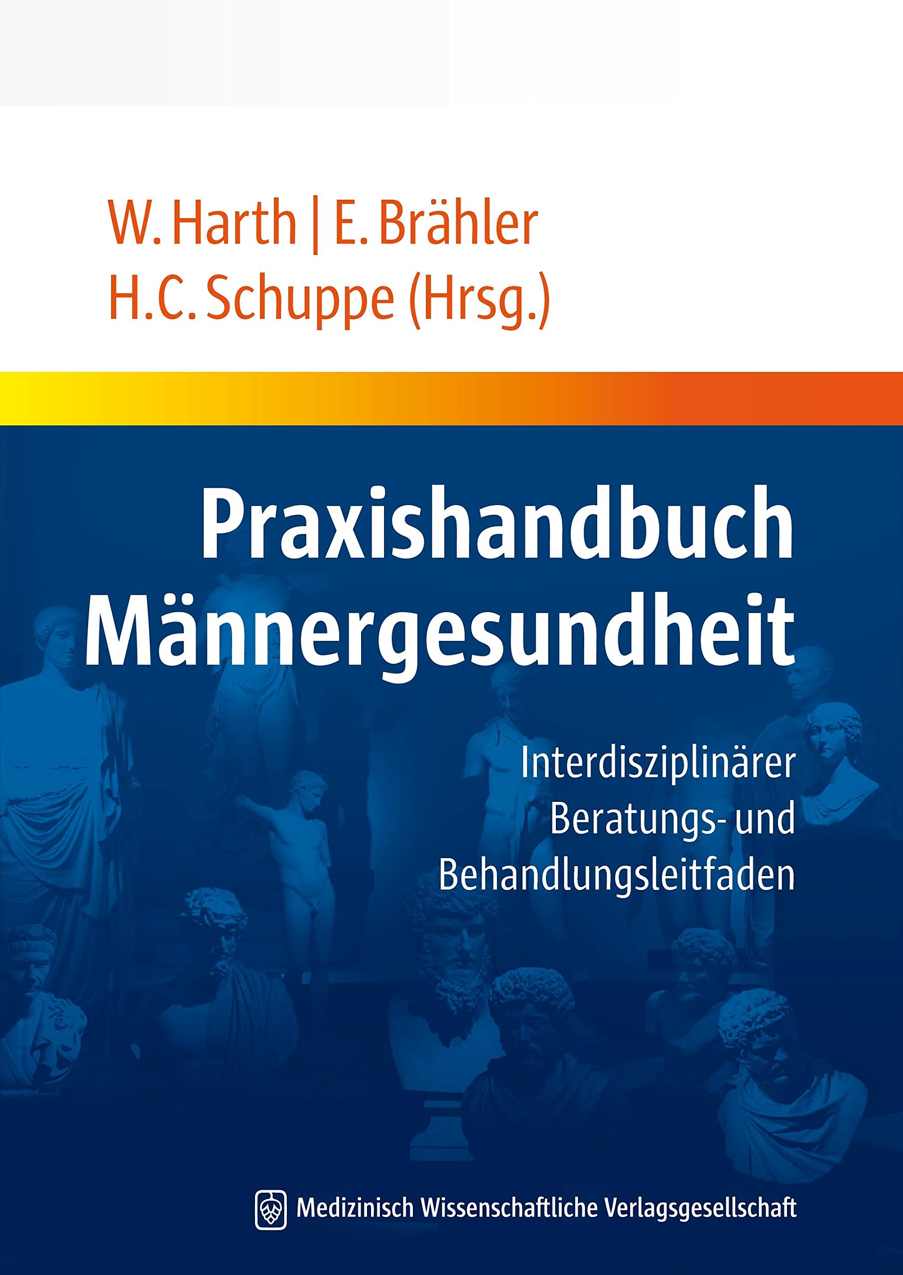 Praxishandbuch Männergesundheit: Interdisziplinärer Beratungs- und Behandlungsleitfaden